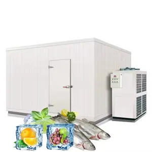 Freezer Container 20ft Cold Storage Room Container Solar Powered Cold Storage Room For Fish Meat Vegetable Ice Store