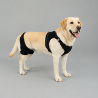 Attelle de Soutien Lombaire Ajustable pour Chien, pour Dysplasie de la Hanche, Soutien à la Mobilité Canine, PETSGUARD PG0010 Anti-Rayures pour la Rééducation