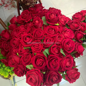 Fabbrica all'ingrosso all'ingrosso di alta qualità artificiale singolo velluto Rose <span class=keywords><strong>fiore</strong></span> rosso bianco personalizzato reale tocco rosa fiori decorativi - Product Image 4