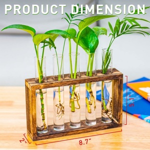 Pflanzen vermehrung stationen Glas Massivholz Desktop Pflanzenst änder - Product Image 3