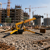 Mini-grue araignée certifiée CE - Compacte et fiable pour les applications en atelier, entrepôt et sur toit