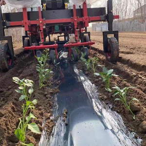 Machine à planter les légumes autopropulsée à 1/2/4/6 rangs, machine à transplanter les oignons, machine à transplanter les semis <span class=keywords><strong>de</strong></span> choux, d'ananas - Product Image 4