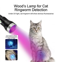 Lampe torche d'inspection UV 365nm en acier inoxydable durable 333, logo personnalisé, détecteur de fuites industriel professionnel, service OEM ODM