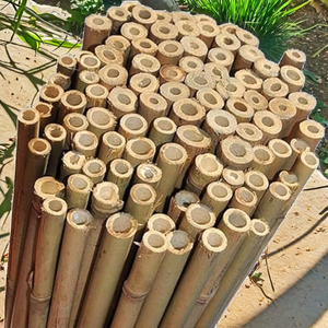 Piquets en bambou robustes, best-sellers, idéaux pour le soutien des tomates et l'entraînement des vignes, texture bois durable pour une agriculture écoresponsable - Product Image 2