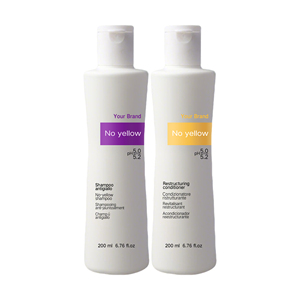 Marque privée <span class=keywords><strong>Shampooing</strong></span> et soin capillaire sans jaune Après-shampoing en profondeur restructurant pour cheveux gris, super éclaircis ou décolorés. - Product Image 1