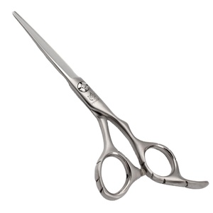 Ciseaux De Coupe De cheveux De Beauté Fenice 5.5 Pouces 440C En Acier Inoxydable Ciseaux De Coiffure - Product Image 1