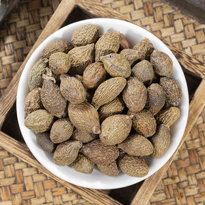 Semillas Secas Naturales de Sterculia Lychnophora de Alta Calidad Directo de Fábrica, Material Vegetal Puro, Suministro a Granel para Suplementos - Product Image 5