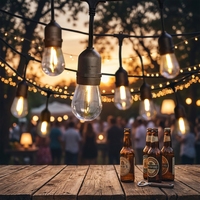 Guirlande lumineuse décorative LED en cuivre étanche IP65, télécommande, alimentation par piles, 10m, connectable, E27 S14, pour extérieur