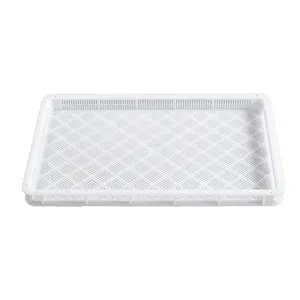 Wholesale Plastic Fruit Drying Trays Plastic, Wooden, and Porcelain 