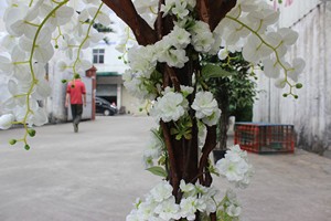 Tự nhiên phalaenopsis Lan Dendrobium cây lan Trắng Nhân Tạo phong lan hoa cây cho tiệc cưới trang trí nội thất - Product Image 6