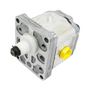 Controlador de Bomba de Engranajes PLC SNP2NN60RN01BA 1112027600, Programación de PLC - Product Image 1