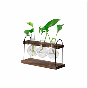 Desktop Hydroponic Glass Vase With Wooden And Iron <b>Frame</b> For Pothos <b>Plant</b> Display Home Decor - Product Image 4