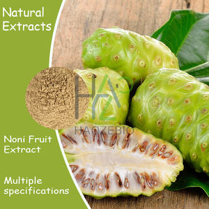 100% natuurlijk instant noni-sap poeder, wateroplosbaar instant noni-fruitpoeder, noni-poeder - Product Image 3