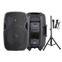 Haut-parleur karaoké en plastique avec micro et Bluetooth pour fête RQSONIC CSL15AYH-KIT haut-parleurs 15 pouces