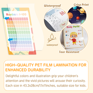 Poster Educativi Laminati Impermeabili e Resistenti agli Strappi per Aule Scolastiche e Scuole Materne, Produzione all'Ingrosso - Product Image 3