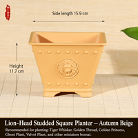 Pot de fleurs carré vintage de style chinois en résine avec plusieurs trous de drainage pour balcon et bureau (lot)