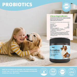 Probiotiques supérieurs pour chiens avec enzymes pour <span class=keywords><strong>la</strong></span> santé intestinale et un complément alimentaire <span class=keywords><strong>de</strong></span> premier plan pour <span class=keywords><strong>la</strong></span> santé des chiens à usage quotidien - Product Image 3