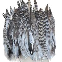 Plumes de coq chinchilla grises pour selle, plumes de coque pour décoration et costumes de danse
