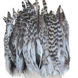 Piume di <span class=keywords><strong>gallo</strong></span> chinchilla grigie per decorazioni e <span class=keywords><strong>costumi</strong></span> da ballo - Product Image 2