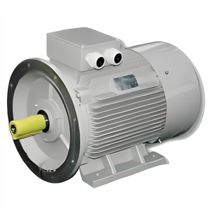 Schorch มอเตอร์เหนี่ยวนำกระรอกทองแดงสามเฟส100% ป้องกันการระเบิดสำหรับ Factory-690V IC411ระบายความร้อน30kW B5 45KW 37kW - Product Image 1