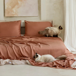 OEKO-TEX 100% ensemble <span class=keywords><strong>de</strong></span> draps en bambou biologique <span class=keywords><strong>housse</strong></span> <span class=keywords><strong>de</strong></span> <span class=keywords><strong>couette</strong></span> viscose lyocell bambou literie <span class=keywords><strong>housse</strong></span> <span class=keywords><strong>de</strong></span> <span class=keywords><strong>couette</strong></span> - Product Image 2