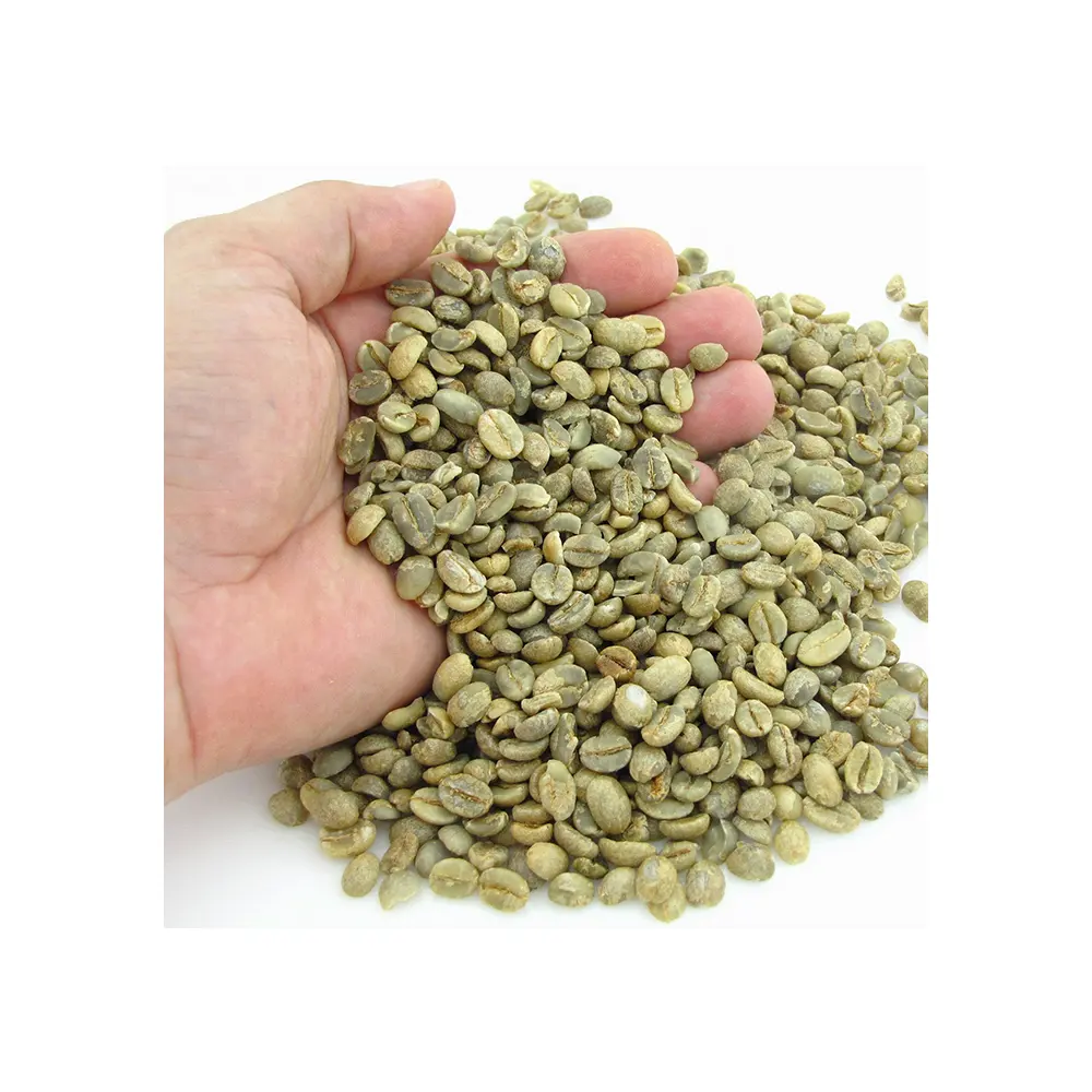 Оптовая продажа, вьетнамские высококачественные зеленые кофейные зерна с лучшей ценой, зерна Арабики для импорта, высококачественные необработанные кофейные зерна