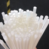 Barre en plastique extrudée sur mesure de petit diamètre (1 mm-6 mm) en PA6/Nylon - Tailles personnalisées - Certifiée ISO9001