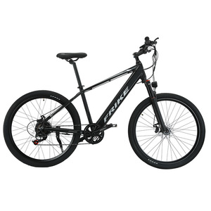Entrepôt européen Charge rétro Ebike 48V Batterie au lithium Vente en gros Vélo électrique hybride alimenté en ville Vélo de voyage à gros pneus - Product Image 4