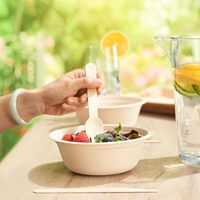 Assiette jetable dégradable classique en bagasse de fibre de bambou ensemble de vaisselle en plastique stocké respectueux de l'environnement