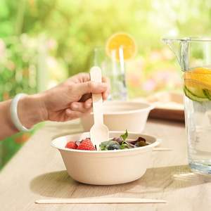 Classic Bamboo Fiber Bagasse Disposable Degradable Plate Dinnerware <strong>Set</strong> Environmentally Friendly Stocked <strong>Plastic</strong> Tableware - Product Image 6