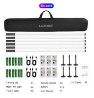 Pack de 6 tubes lumineux LED RGB 4 pieds rechargeables, activés par le son, IP54, pour DJ, bar, scène, fête, mariage, sans fil, colorés