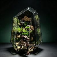Mousse stabilisée décorative intemporelle, mousse préservée pour terrarium, jardin magique, idéal pour la décoration de bureau et de maison