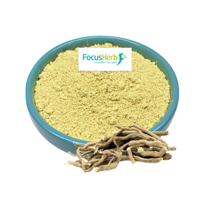 Focusherb USA kho tại chỗ kavalactone 30% Kava Kava chiết xuất từ rễ bột - Product Image 2