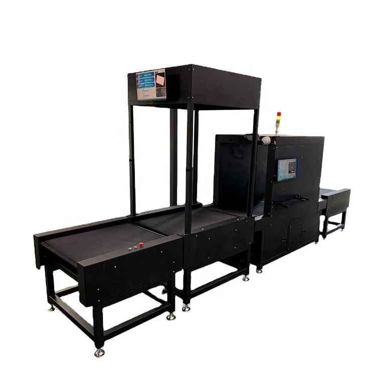 Logistics Sorter Machine Package Weighing Scale Dws System