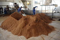 Vente d'usine chaude probiotiques nitrobactéries traitement de l'eau d'aquaculture extrait de Shandong additifs alimentaires en poudre