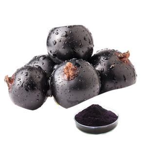 Poudre de cassis d'extrait de fruit de cassis naturel JHD Oganic - Product Image 1