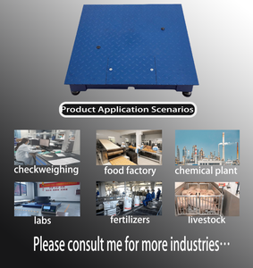 कारखाने प्रत्यक्ष पीडी औद्योगिक एकल डेक प्लेटफॉर्म स्केल के नेतृत्व में इलेक्ट्रॉनिक बेंच स्केल ओम विस्फोट-सबूत जांच 1-3 टी - Product Image 4