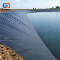 Bâche géomembrane HDPE noire lisse imperméable pour bassin à poissons, décharge, réservoir, barrage, canal et irrigation