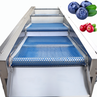 KEHONG Merk KHFX-PD-3J Onderhoudsarme 220V Groente- en Fruit sorteermachine voor gember, kurkuma en zoete aardappel verwerking |