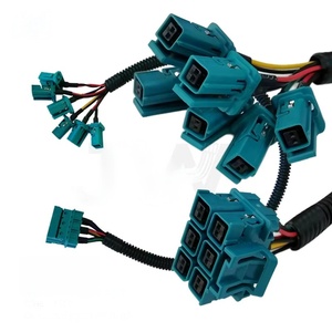 定制镀锡铜导体 PVC 线束适配器 波纹管 汽车用 IP67 300V 550mm 电源/信号/数据线 - Product Image 2