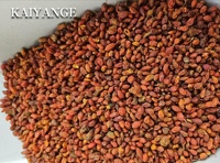KAIYANGE Vente en gros CHINOIS HERBES ARGOUSIER SÉCHÉ FRUIT SHAJI THÉ AUX FRUITS