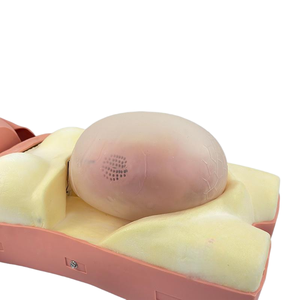 Obstetrik eğitim için tıbbi Model beyin bilgisayarlı hamile kadın muayene modeli - Product Image 5