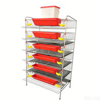 Nouvelle cage à cailles de type H galvanisée de 1,2 m de long, 6 niveaux, capacité de 360 cailles, élevage de cailles à haute densité