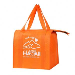 Bolsas Térmicas Recicladas de Tela No Tejida con Logotipo Personalizado, Bolsa Aislada para Entrega de Alimentos, Bolsa para Llevar - Product Image 2