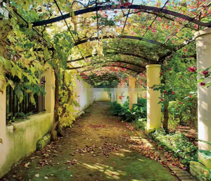 Elegante jardín otoño bosque paisaje 3D 5D 8D pared Mural foto papel tapiz - Product Image 3