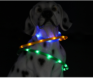 LED-Hunde halsband-USB wiederauf ladbar mit wasserdichtem, reflektieren dem, blinkendem Hunde halsband-Sicherheit für die Nacht W. - Product Image 4