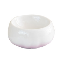 Assiette jetable en céramique simple et moderne pour chat et chien pour servir de la nourriture