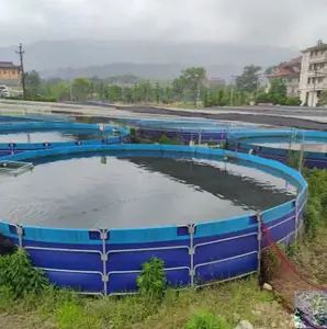 Aquaculture Tarpaulin Fish Farming Tank Indoor Shrimp Catfish Koi Tilapia Turtle Fish Farming Marine Seabass Fish Hatchery