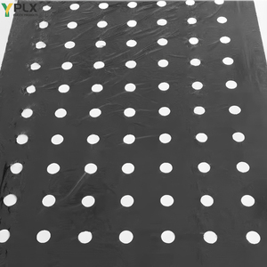 25 micras <span class=keywords><strong>Pe</strong></span> plástico blanco negro plata mantillo película perforar agujeros precio, <span class=keywords><strong>Pe</strong></span> Uv negro agricultura mantillo hoja 1,5*500m - Product Image 2