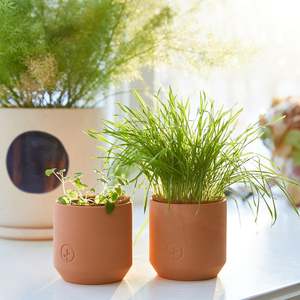 Tiny Terracotta Indoor Herb Garden Kit para mascotas Macetas y jardineras con luz <span class=keywords><strong>de</strong></span> cultivo y suelo <span class=keywords><strong>de</strong></span> turba <span class=keywords><strong>de</strong></span> coco - Product Image 6